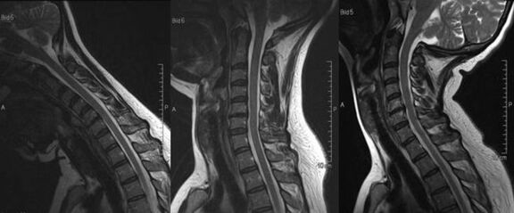 Niedergelassene Ärzte unterstützen wir in Diagnostik und Therapie